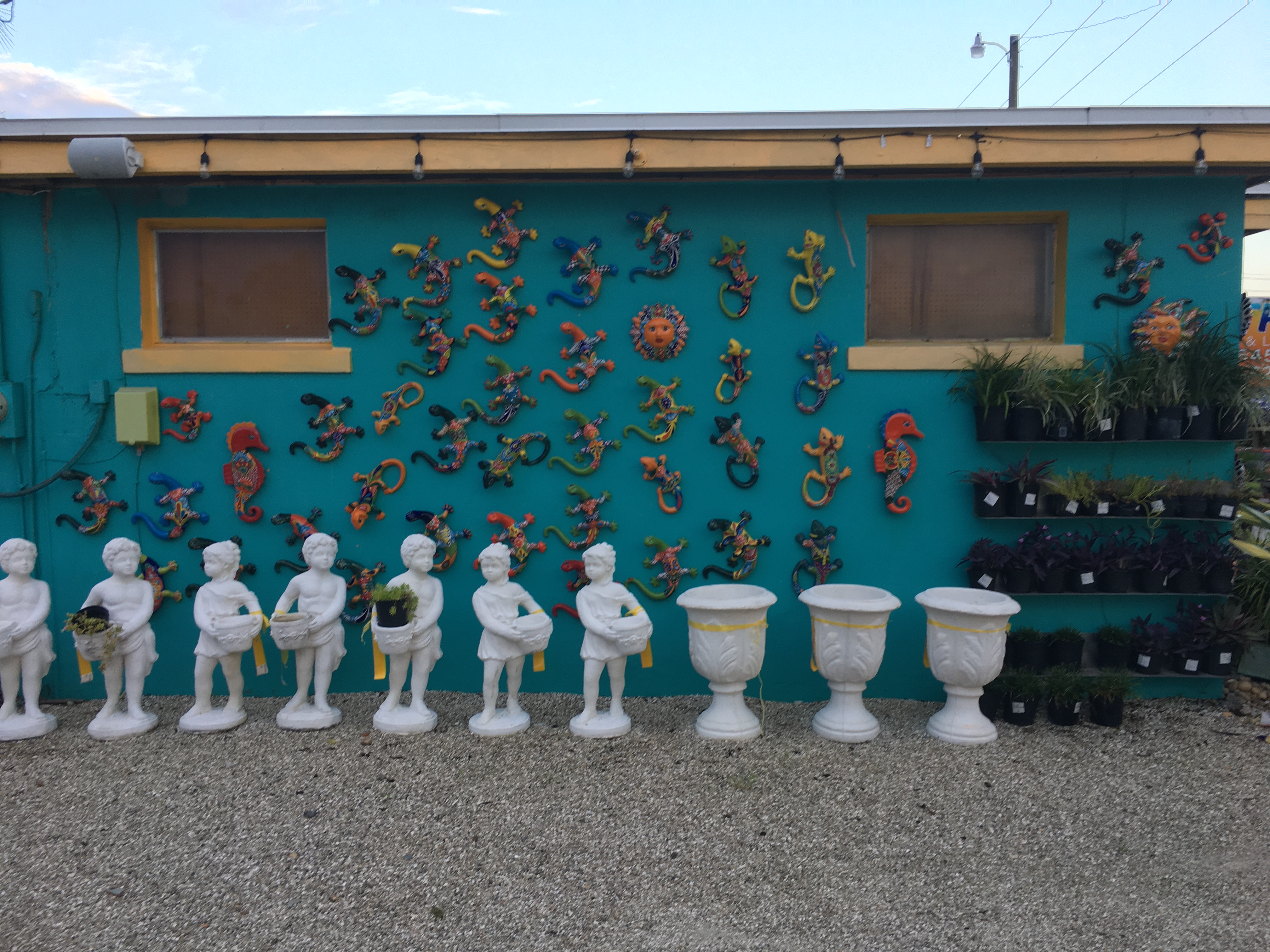 GARDEN CENTER CAPE CORAL AND LANDSCAPERS